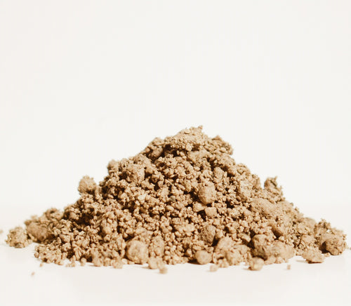 Caudex jord