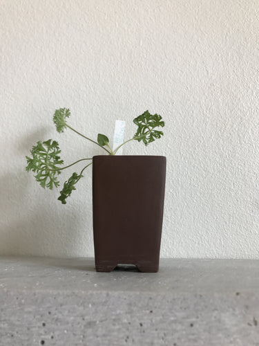 Høj bonsaipotte i ler (uden plante)