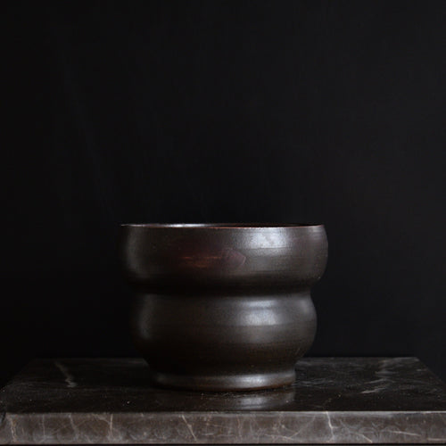 Caudiciform.com potter - stor